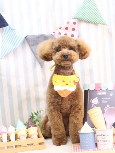 20250520モコくん